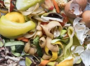 top view of food waste