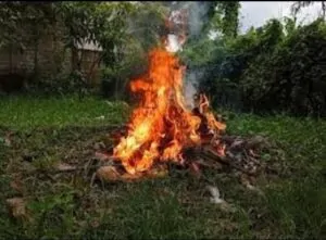 Garden Waste Burning